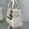 DIOR official website 1:1 embroidered bag premium version