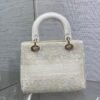 DIOR official website 1:1 embroidered bag premium version