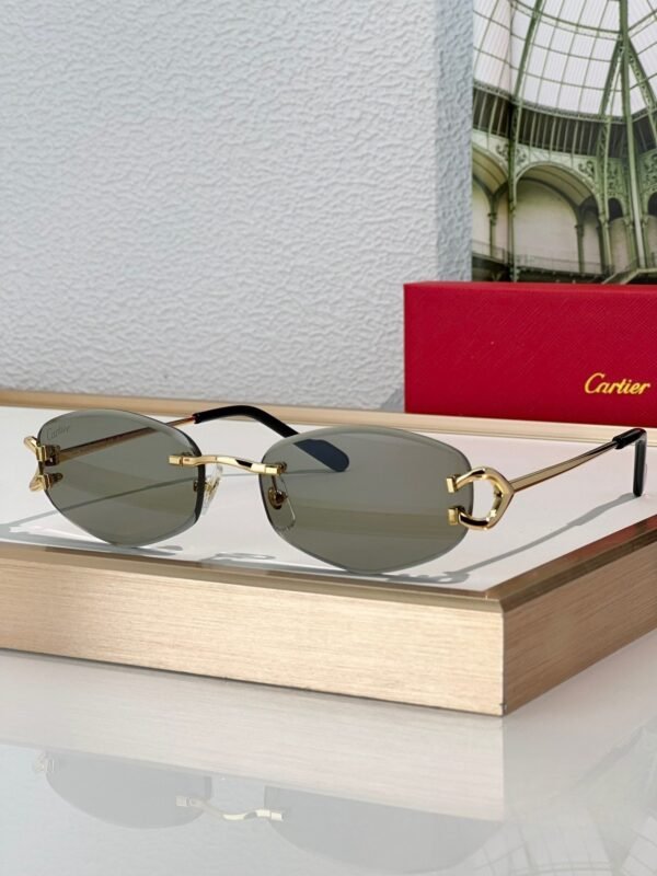 Cartier Sunglasses Premium Edition