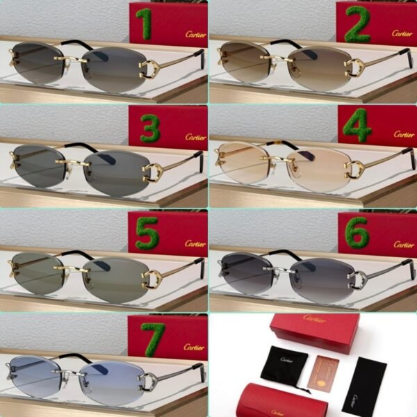 Cartier Sunglasses Premium Edition