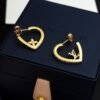 Louis Vuitton earrings