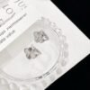 Van Cleef & Arpels Silver Premium Earrings
