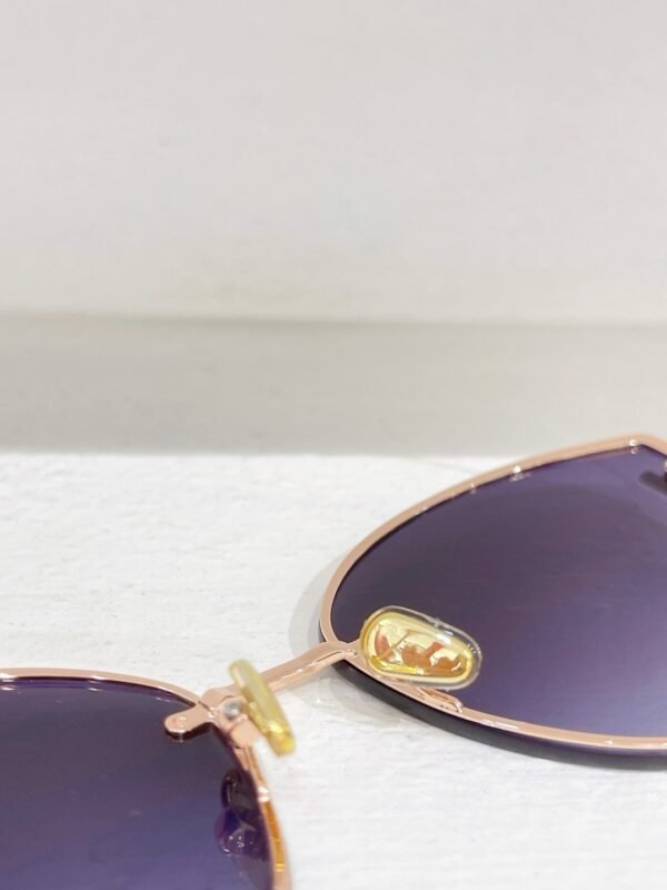Tom Ford Sunglasses Premium Edition 1:1