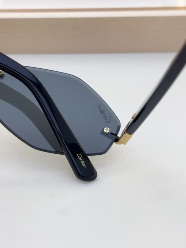 Cartier Sunglasses Premium Edition