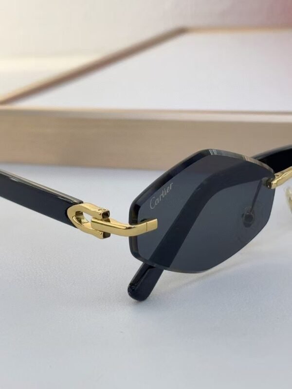 Cartier Sunglasses Premium Edition
