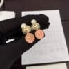 DIOR Pearl Powder Earrings