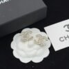 Chanel Earrings Premium