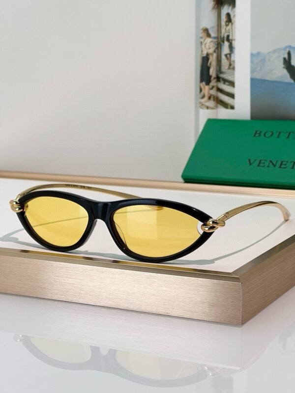 BOTTEGA VENETA Sunglasses Premium Edition Premium Edition Size: 56-14-145