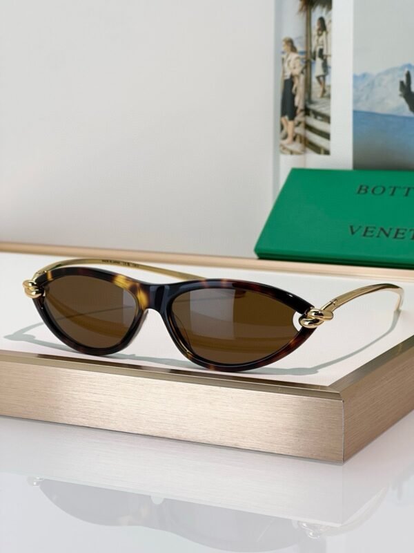BOTTEGA VENETA Sunglasses Premium Edition Premium Edition Size: 56-14-145