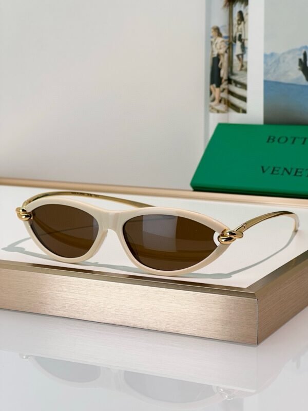 BOTTEGA VENETA Sunglasses Premium Edition Premium Edition Size: 56-14-145