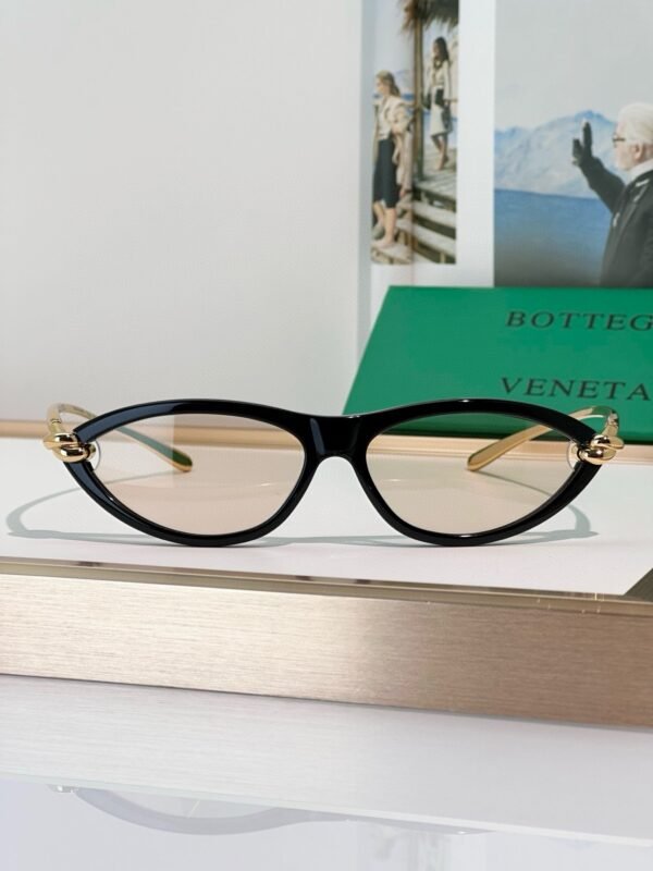 BOTTEGA VENETA Sunglasses Premium Edition Premium Edition Size: 56-14-145