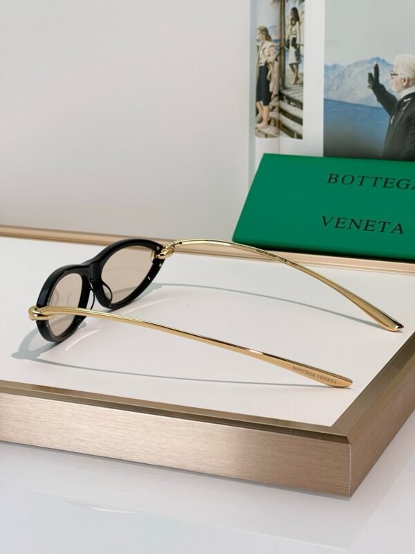 BOTTEGA VENETA Sunglasses Premium Edition Premium Edition Size: 56-14-145