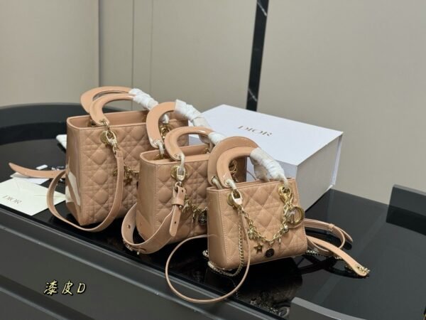 DIOR Princess Diana bag lacquered material