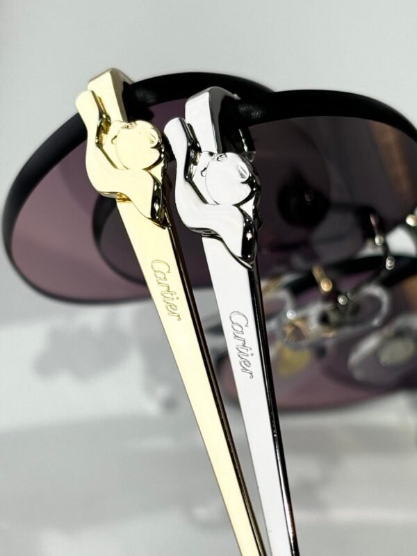 Cartier Sunglasses Premium Edition Size: 58-16-135