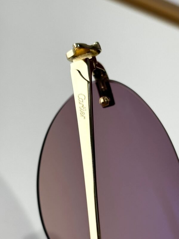 Cartier Sunglasses Premium Edition Size: 58-16-135