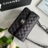 Chanel CF classic Flap Lychee Ball Bag Premium Edition 15.5×25.5×6.5cm