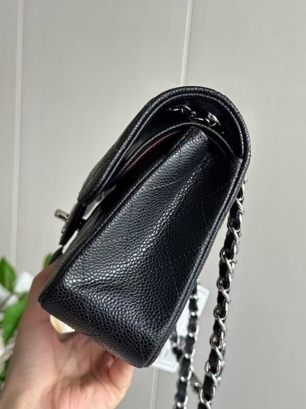 Chanel CF classic Flap Lychee Ball Bag Premium Edition 15.5×25.5×6.5cm
