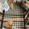UGG women’s snow boots